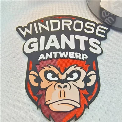 Avantajele etichetelor de transfer de căldură din silicon și ale tendințelor ...